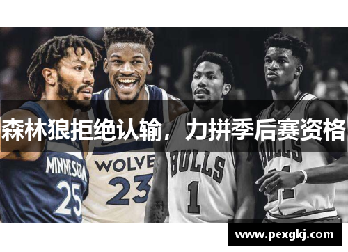 森林狼拒绝认输，力拼季后赛资格