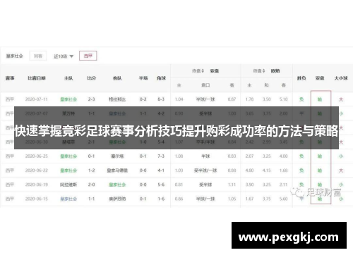 快速掌握竞彩足球赛事分析技巧提升购彩成功率的方法与策略